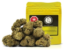 LEMON CHERRY GARY - 7G