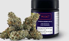 MINT Rainbow Inferno-7g