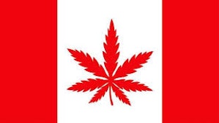 Flag - 3x5 Weed Flag
