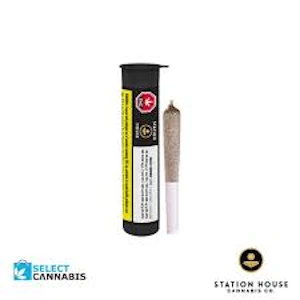 Station House - Jack Herer 1 x 0.5g Pre-Roll