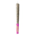 Terpedos - Neon Riot Pre-Roll 1x1g