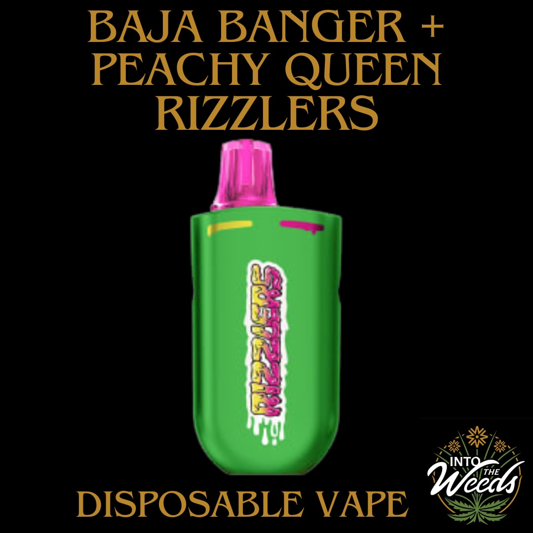 queen vape Imperial Ice Queen Vape Disposable 4g main image 0