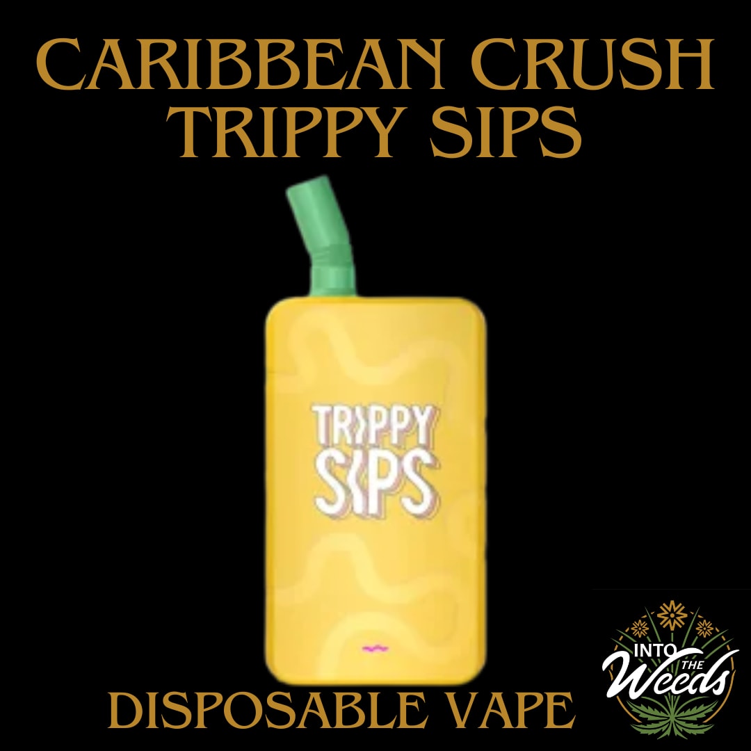 caribbean vapes E Cig Kits :: E Cig Pod Kit :: E Cig Disposable Pod Kit :: Original EPE  AP15000 Rechargeable Disposable Vape Pod Kit 15000 PUFFS 500mAh (free  shipping)