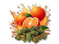 Twisted Citrus Botanical Buds 14g Dried Flower