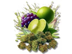 Grape Limeade Botanical Buds 14g Dried Flower