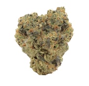 BANJO 7G