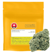 NORTHERN OG KUSH - 7