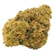 7 ACRES - White Widow X 7g