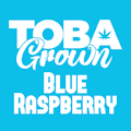 Blue Raspberry 1 Pack Soft Chews Hybrid