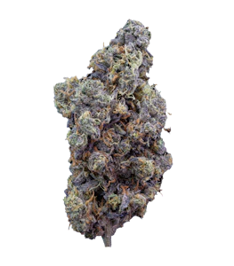 SWEETGRASS ORGANIC CANNABIS - MINT CHOCOLATE CHIP ORGANIC | 3.5g