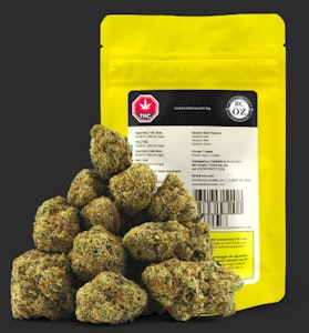 DEALR - BC OZ. | Golden Hour Gelato 28g.