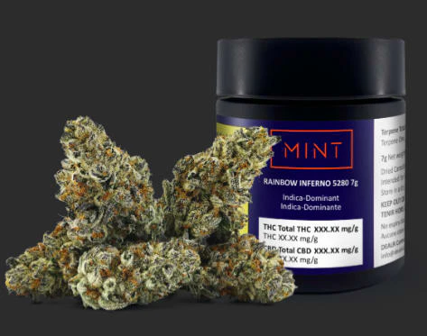 DEALR - MINT Cannabis | Rainbow Inferno | 7g. Main Image