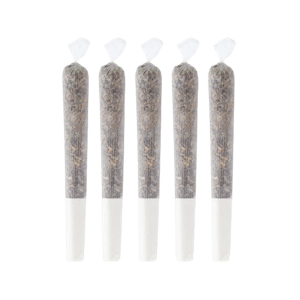 Pineapple Buds - 5 x 0.5g Pineapple Haze Pre-Rolls