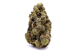 Ice Cream Runtz (3.5g) - Elevator