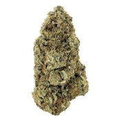 14g Organic Divine Intervention LTO