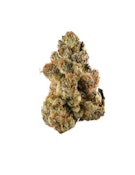 BONG GURU ROCKSTAR - 14 GRAMS