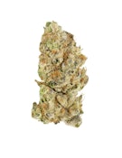 PLATINUM PAVE - 7 GRAMS