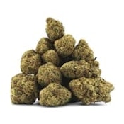 GOLDEN HOUR GELATO - 28g