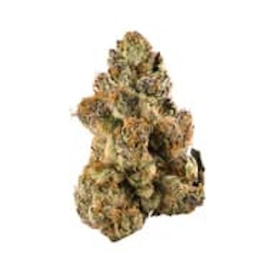 Rogworld - BONG GURU ROCKSTAR - 14