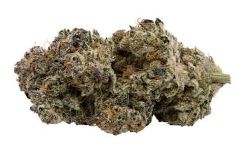 Aroma Cultivation - Wifi Fire - 7g