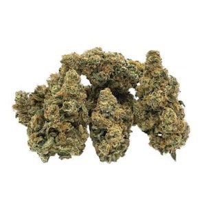 Trailblazer - ROOTBEER #8 SATIVA - 14