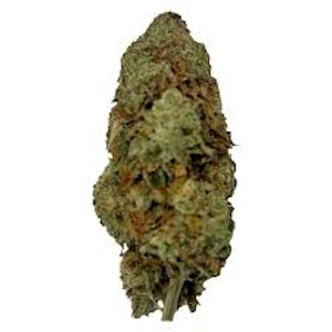 Puffer's Paradise - Magik Dragon 7g Dried Flower