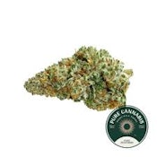 28g Queen Green - Pure SunFarms