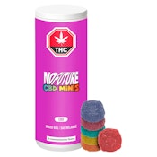 No Future - CBD Minis Mixed Bag 30x5g Soft Chews