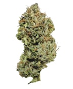 Salt Spring Magic - Pine Tar (3.5g)