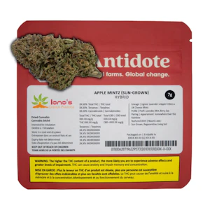 Lono's Garden Paradise - APPLE MINTZ - 7