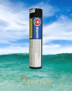 STAYCATION - CLOUD KICKER PR3X0.5G