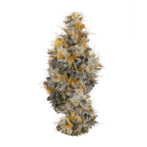 Coast Mountain Cannabis - BC ORGANIC VANILLA FROSTING LTO - 3.5