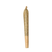 TIMEWARP PRE-ROLL - 1