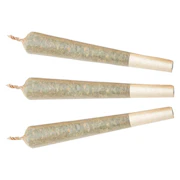 Watermelon G-Bear 1x1g Distillate Infused Pre-roll