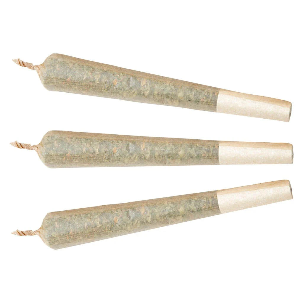 AYURCANN INC. - Watermelon G-Bear 1x1g Distillate Infused Pre-roll Main Image
