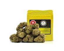LEMON CHERRY GARY LTO - 7G