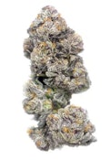 GASTROPOP - 28g