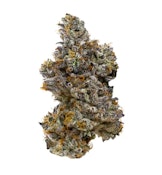 TIRAMISU LTO - 7G