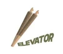 Elevator - Mixed Greens P/R - 2x0.35g