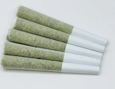 HVT - Rockstar P/R - 5x0.5g