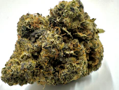 Red Barn - Platinum Pine - 14g