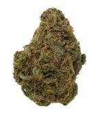 DURBAN POISON | Always Hi 14g Flower | Elevate