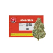 Chemzilla - Chemdawg X Godzilla Glue 14g Dried Flower