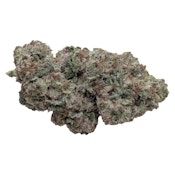 Rntz Punch  Dried Flower
