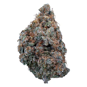 Sweetgrass Cannabis - ORGANIC DIVINE INTERVENTION LTO - 14