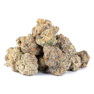 TENZO - BIG SMALLZ ESPRESSO CNDY LTO - 14