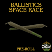 Ballistics - 10 x 0.35g