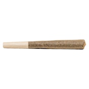 1x1g