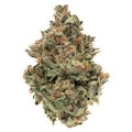 Fire OG 3.5g Dried Flower