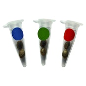 Gry Pytn X Crashed Out Cookies (fem Seeds) | 4 Pack